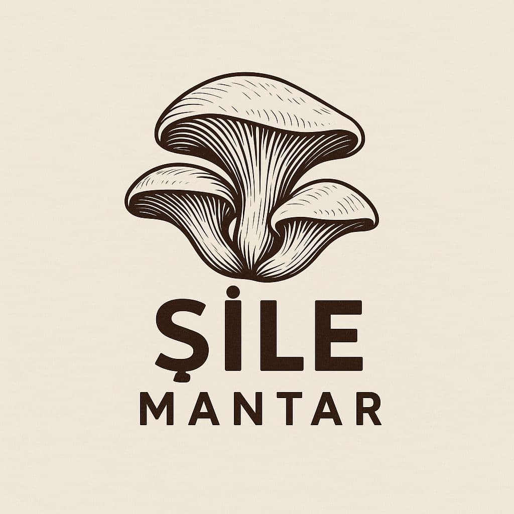 İstiridye mantarı üretimi logosu
